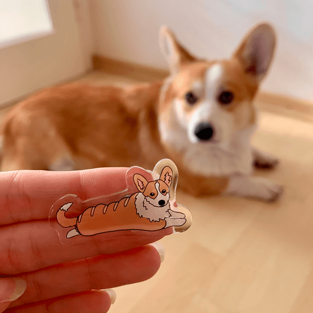 CORGI pin - Toby baguette